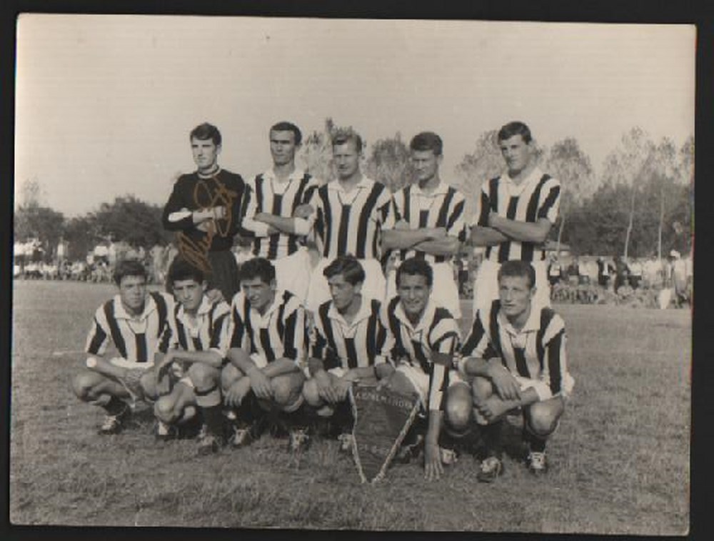 DINO ZOFF D